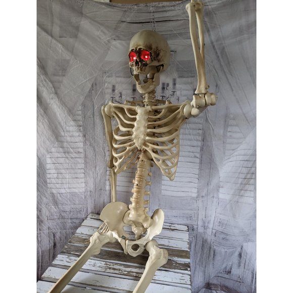 pan Asian life-size light up skeleton Halloween de